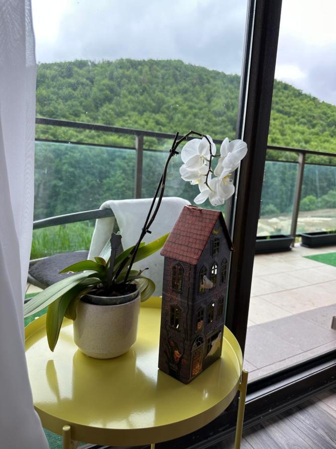 Apartment Silvelen Mountain View *