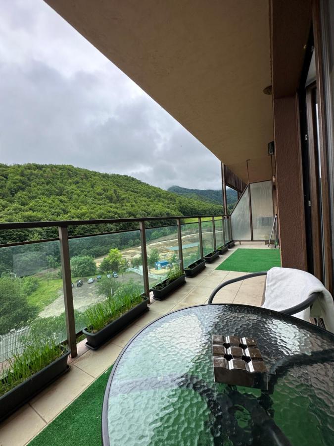 Apartment Silvelen Mountain View Brașov